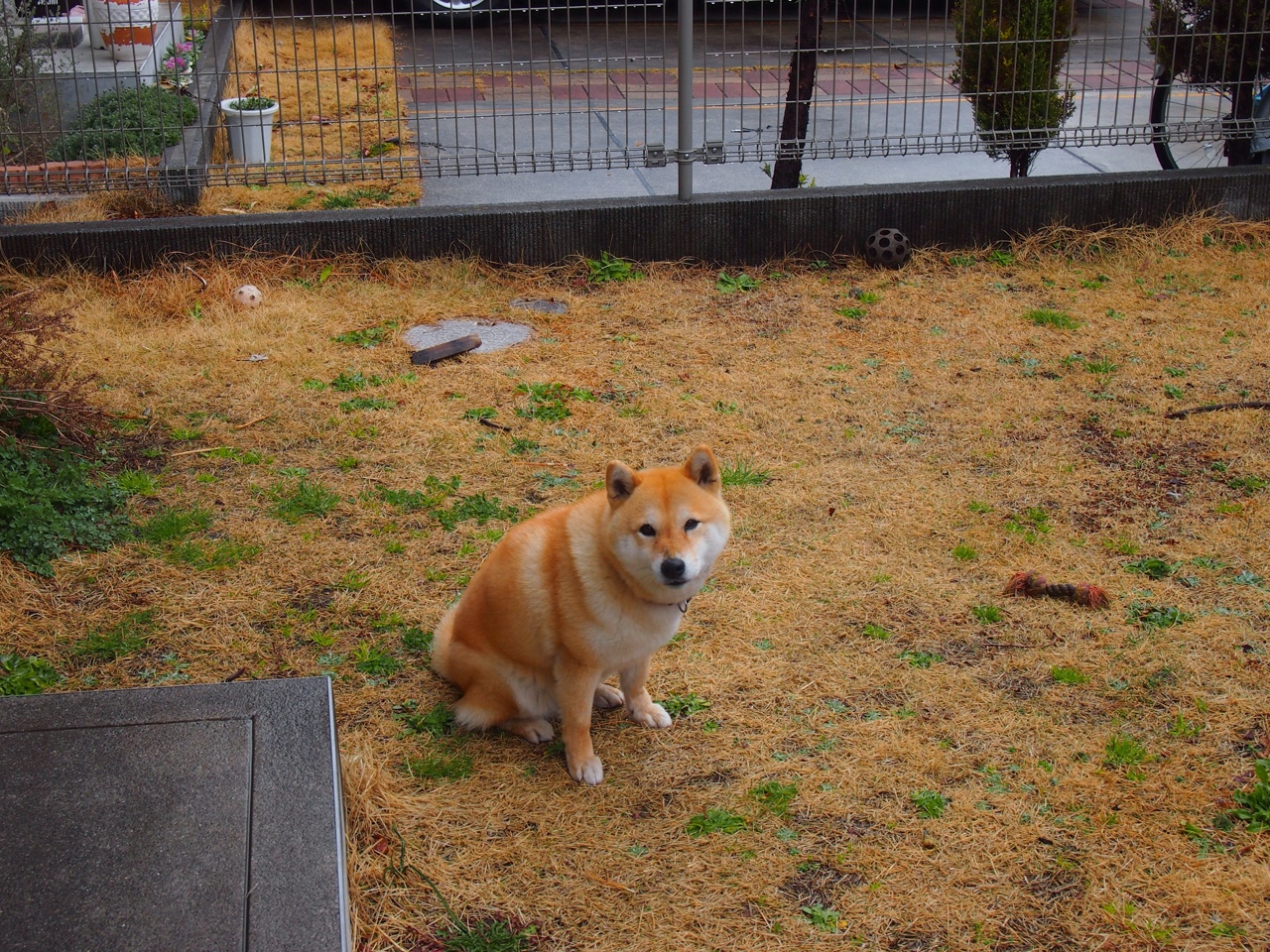 开云体育中国官网-季后赛大咖秀：明星球员的巅峰对决，nba巨星季后赛掉链子场次  第1张