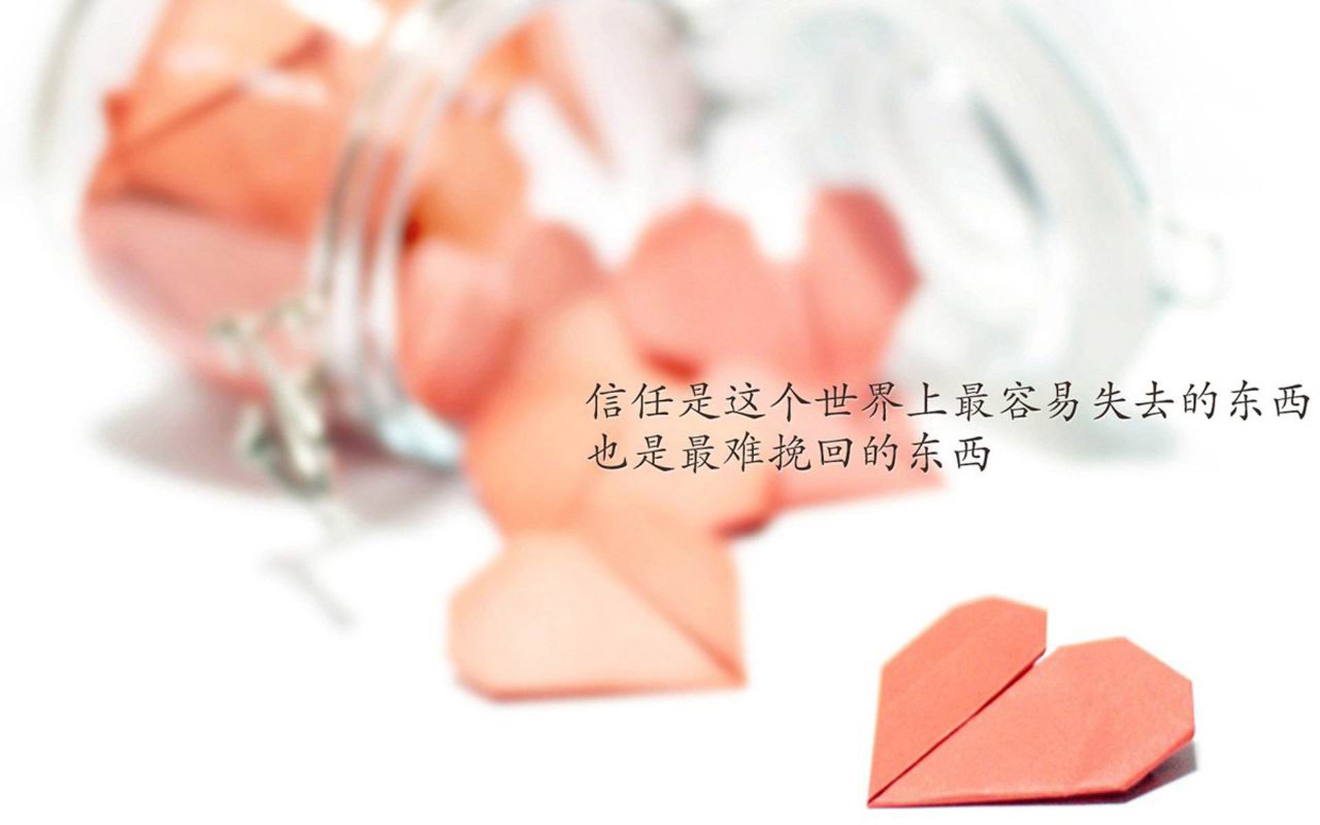 开云官网APP下载-_湖人队全力以赴，誓冲季后赛名额_，湖人队新赛季